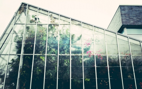 glazen platen tuinkas